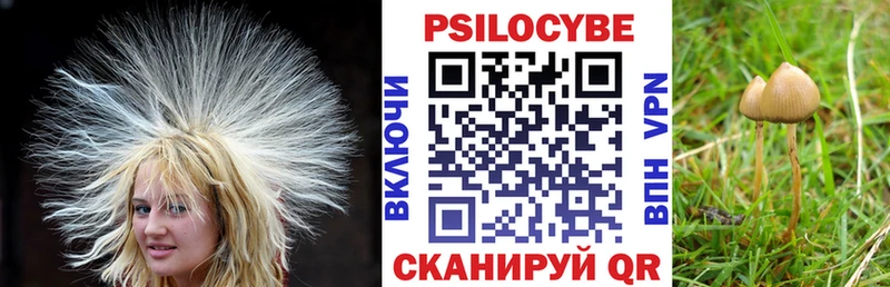 mega ONION Нефтекумск Псилоцибиновые грибы мицелий