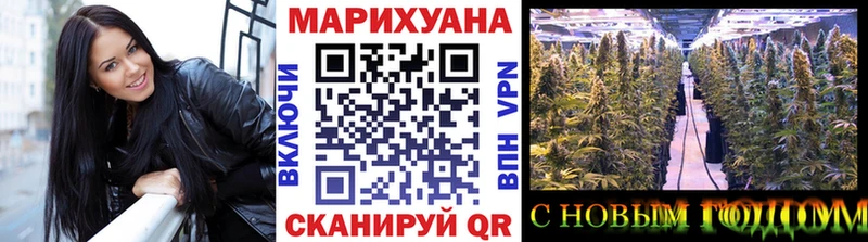 Конопля SATIVA & INDICA Нефтекумск